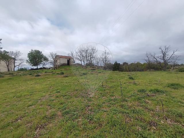 Terreno à venda em Vilar Formoso, Almeida RE/MAX Portugal