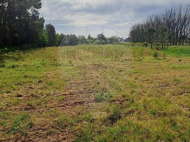 Terreno à venda em Vilarinho do Bairro, Anadia RE/MAX Portugal