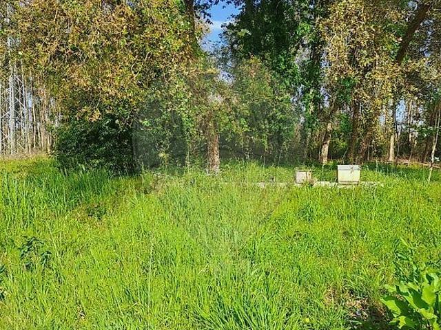 Terreno à venda em Vilarinho do Bairro, Anadia RE/MAX Portugal