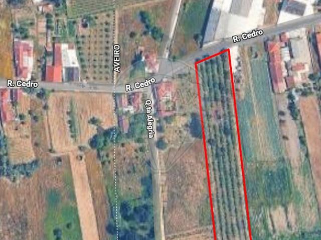 Terreno à venda em Vilarinho do Bairro, Anadia RE/MAX Portugal