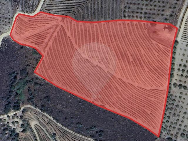Terreno à venda em Vilarouco e Pereiros, São João da Pesqueira RE/MAX Portugal