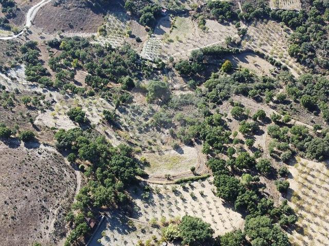 Terreno à venda em Vilarouco e Pereiros, São João da Pesqueira RE/MAX Portugal