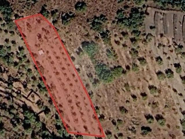 Terreno à venda em Vilarouco e Pereiros, São João da Pesqueira RE/MAX Portugal