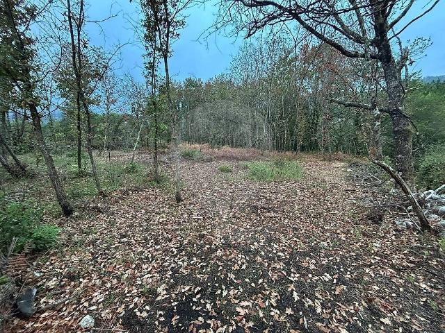 Terreno à venda em Vilela, São Cosme e São Damião e Sá, Arcos de Valdevez RE/MAX Portugal