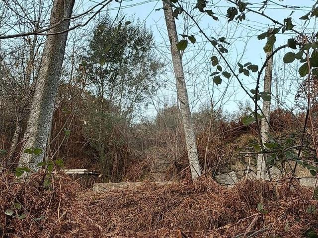 Terreno à venda em Vilela, Seramil e Paredes Secas, Amares RE/MAX Portugal