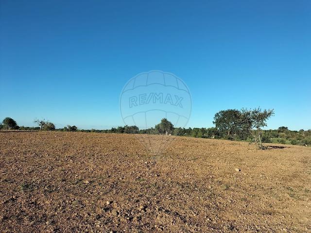 Terreno à venda em Vimieiro, Arraiolos RE/MAX Portugal