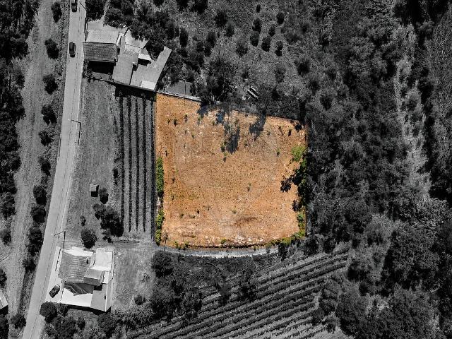 Terreno à venda em Vinha da Rainha, Soure RE/MAX Portugal