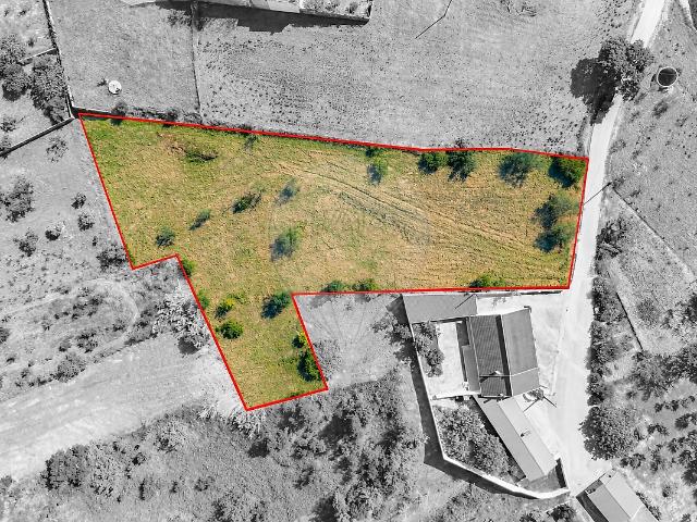 Terreno à venda em Vinha da Rainha, Soure RE/MAX Portugal