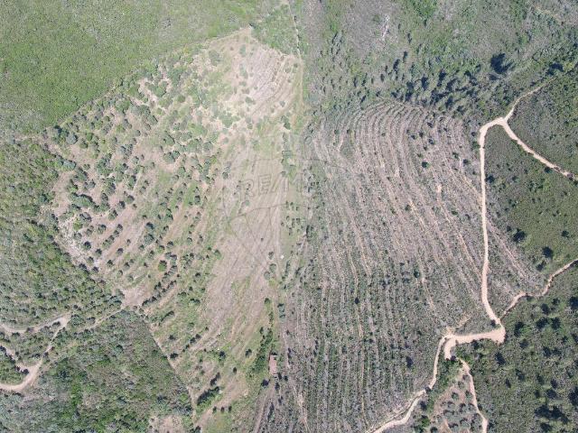 Terreno à venda em Vinhais