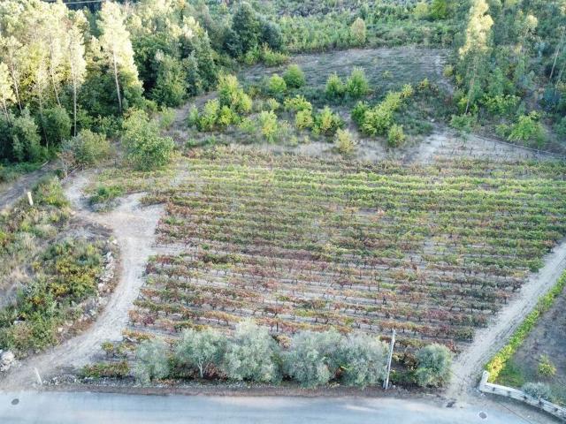 Terreno à venda em Viseu