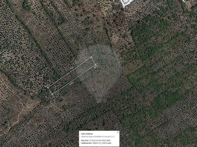 Terreno à venda em Zona industrial Nossa Senhora da Conceição e São Bartolomeu