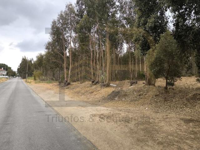 Terreno à venda Entroncamento, Santarém