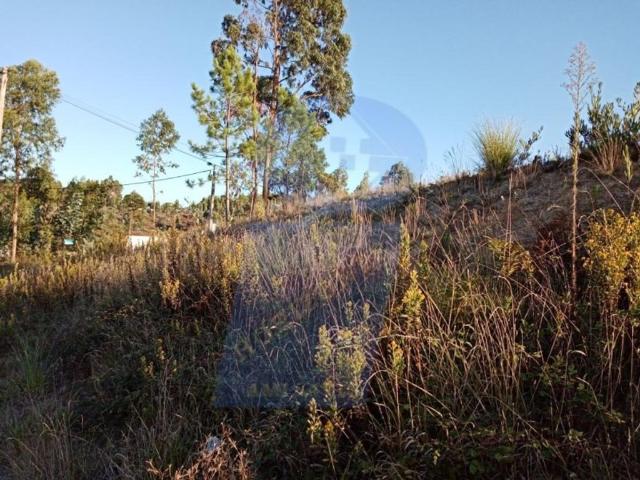 Terreno à venda Facho, Oliveira do Bairro, Aveiro