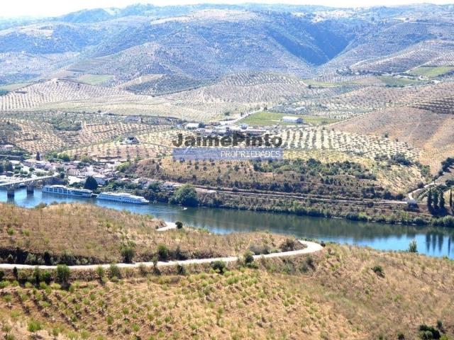 Terreno à venda Figueira de Castelo Rodrigo, Guarda