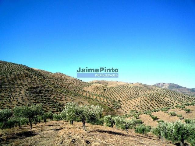 Terreno à venda Figueira de Castelo Rodrigo, Guarda
