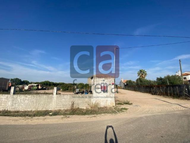 Terreno à venda Frade de Baixo, Alpiarça, Santarém
