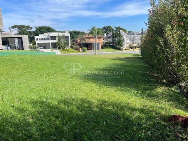 Terreno à venda fundo para mata, Alphaville Graciosa PINHAIS PR