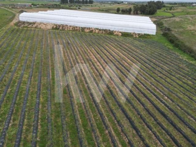 Terreno à venda Idanha a Nova, Portugal