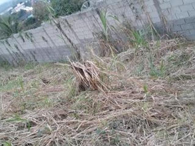 Terreno à venda, Jardim Maria Vicente Cajati/SP