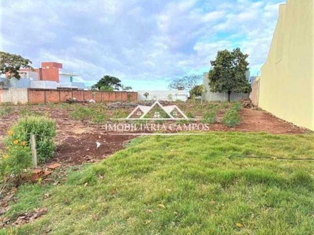 Terreno à venda, Jardim Gisela, TOLEDO PR