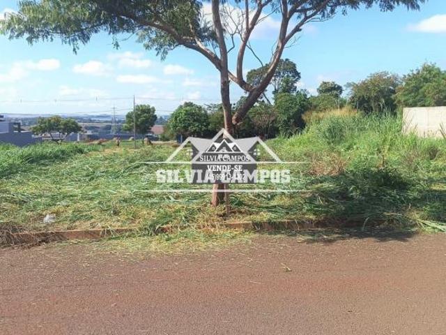 Terreno à venda, Jardim Pancera, TOLEDO PR