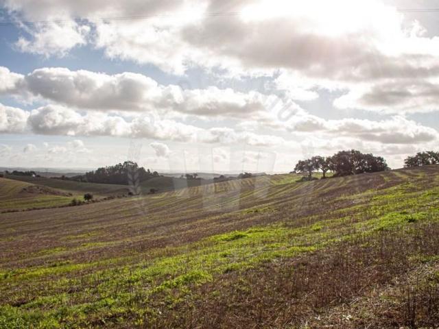 Terreno à venda Odemira, Portugal