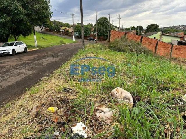 Terreno à venda, Olímpico, Londrina, PR