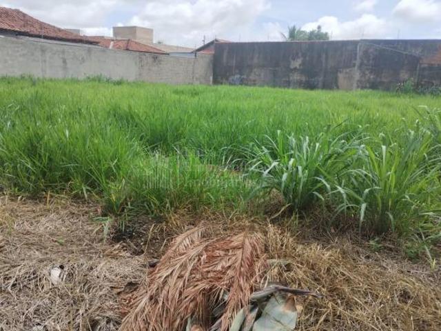 Terreno à venda, ÓTIMA LOCALIZAÇÃO, JARDIM AUTONOMISTA, CAMPO GRANDE MS