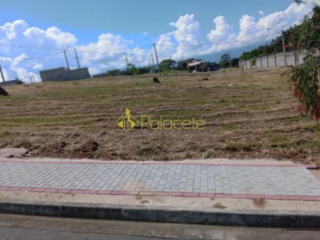Terreno à venda, Loteamento Industrial Água Preta, Pindamonhangaba, SP