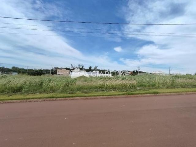 Terreno à venda, LOTEAMENTO NEXUS, JD TOCANTINS, TOLEDO PR