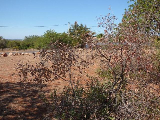 Terreno à venda Loulé, Faro