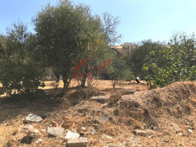 Terreno à venda Loulé, Faro