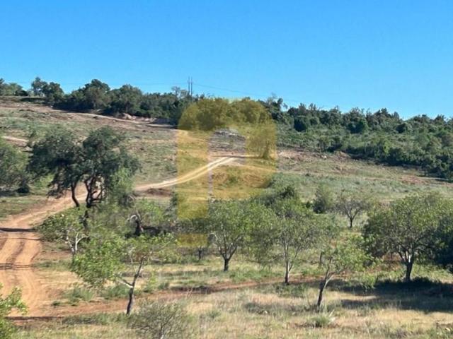 Terreno à venda Loulé, Faro