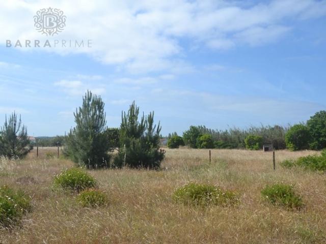 Terreno à venda Loule Sao Clemente, Loulé, Faro