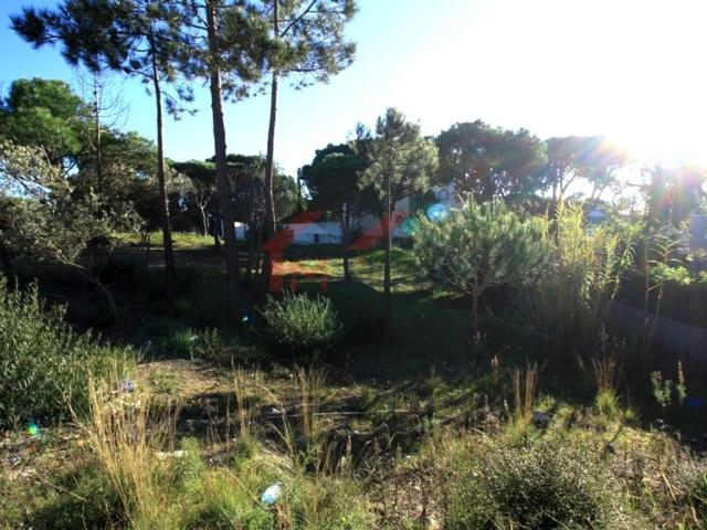 Terreno à venda Loulé, Faro