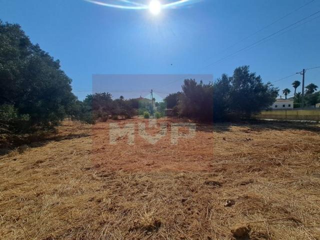 Terreno à venda Loulé, Faro
