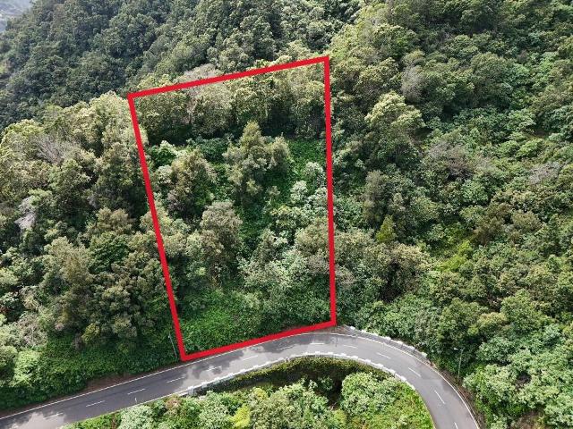 Terreno à venda, localizado Ilha da Madeira Santana Faial
