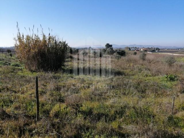 Terreno à venda Lau, Palmela, Setúbal