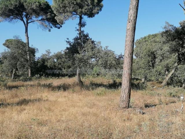 Terreno à venda Sesimbra, Portugal
