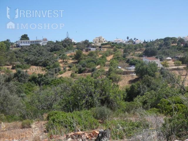 Terreno à venda Lagoa, Faro
