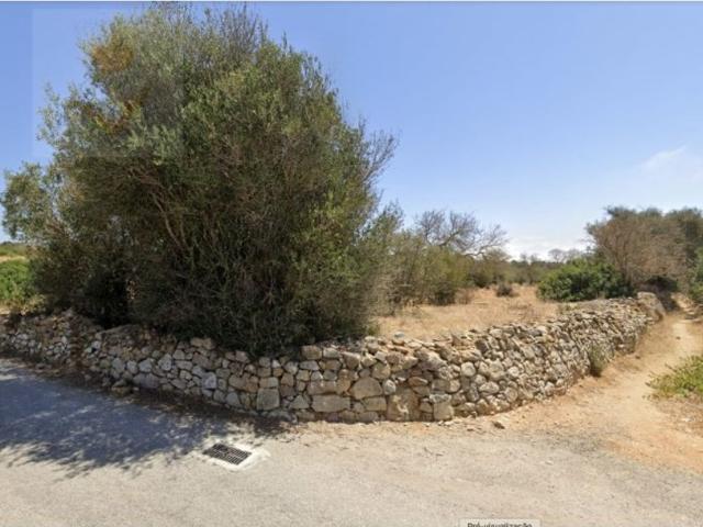 Terreno à venda Lagoa, Faro