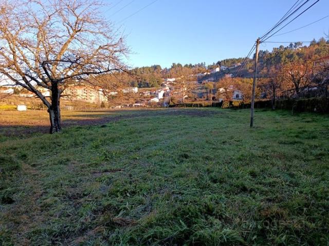 Terreno à venda Lamego, Portugal