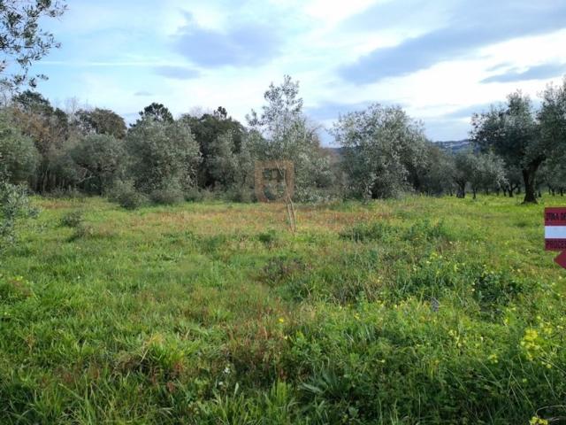 Terreno à venda Leiria