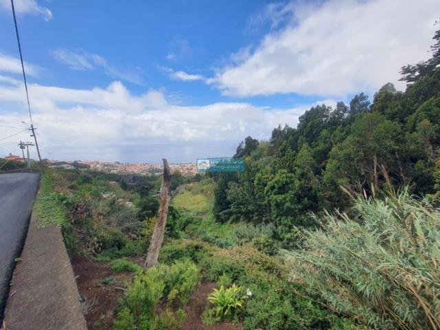 Terreno à venda Livramento, Funchal, Madeira
