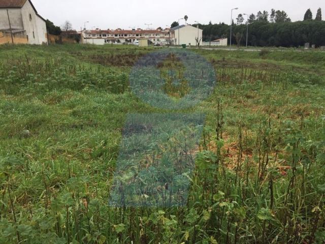 Terreno à venda Mogofores, Anadia, Aveiro