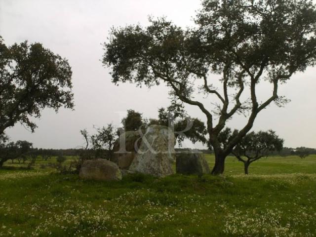 Terreno à venda Portalegre, Portugal