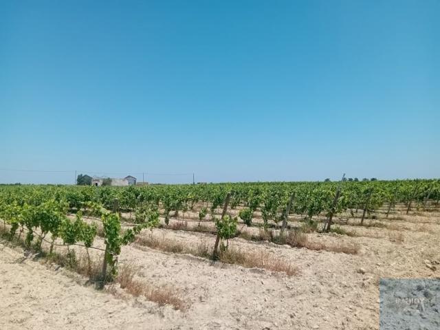 Terreno à venda Montijo, Portugal