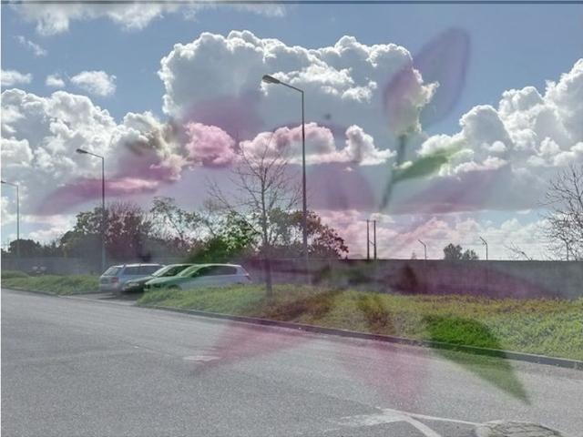 Terreno à venda Montijo, Setúbal