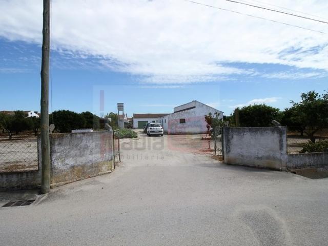 Terreno à venda Montijo, Setúbal