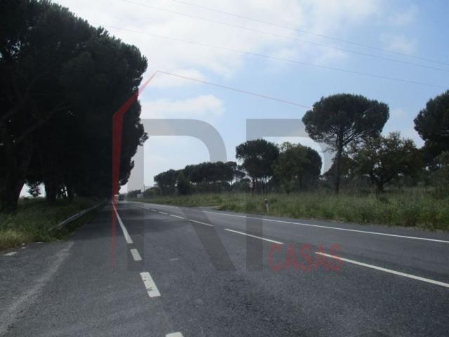 Terreno à venda Montijo, Setúbal